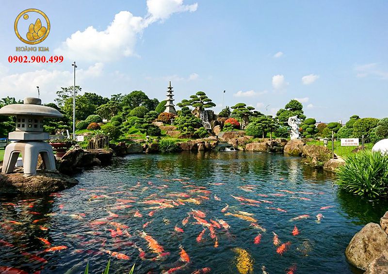 Thi công hồ cá Koi tại khu biệt thự Đồng Nai 
